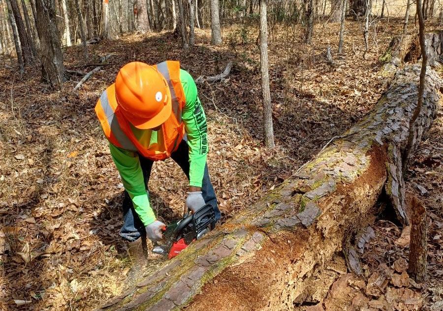 Boundary maintenance work at B Everett Jordan Lake, North Carolina