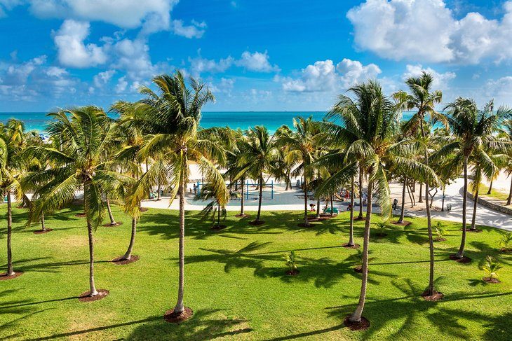 Grounds maintenance at the United States Coast Guard station, Miami Beach, Florida